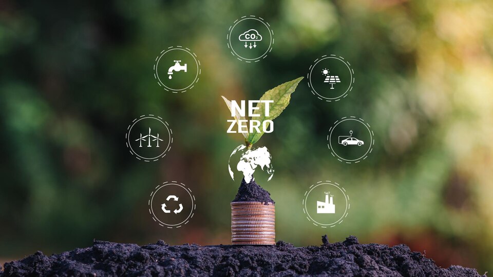 Beyond Net Zero: Innovative Green Technologies Driving B2B Success in 2025