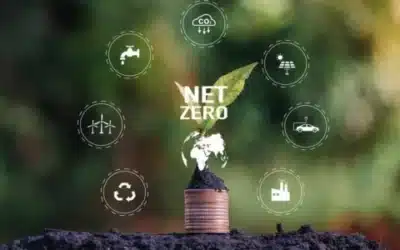 Beyond Net Zero: Innovative Green Technologies Driving B2B Success in 2025