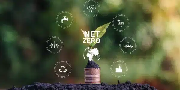 Beyond Net Zero: Innovative Green Technologies Driving B2B Success in 2025